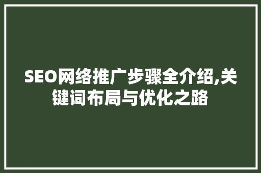 SEO网络推广步骤全介绍,关键词布局与优化之路  第1张