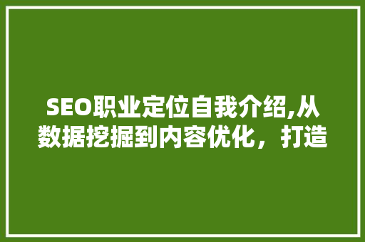 SEO职业定位自我介绍,从数据挖掘到内容优化，打造搜索引擎优化高手