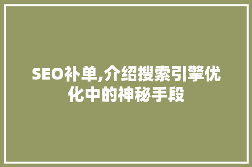 SEO补单,介绍搜索引擎优化中的神秘手段