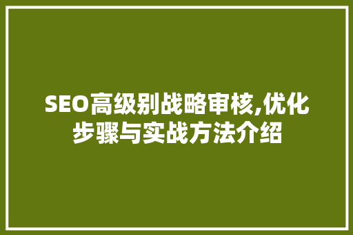 SEO高级别战略审核,优化步骤与实战方法介绍