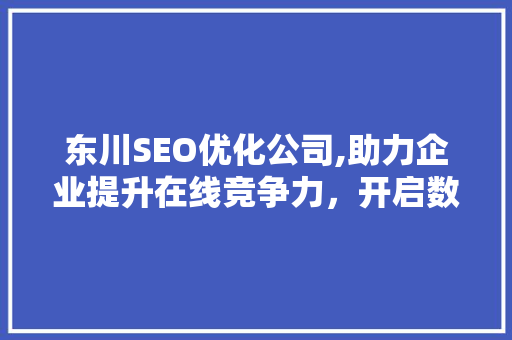 东川SEO优化公司,助力企业提升在线竞争力，开启数字营销新篇章