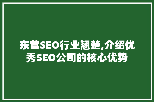 东营SEO行业翘楚,介绍优秀SEO公司的核心优势