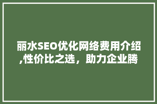 丽水SEO优化网络费用介绍,性价比之选，助力企业腾飞