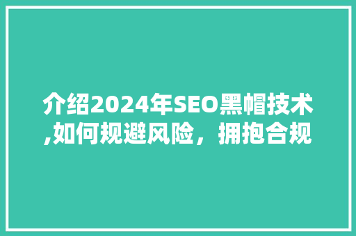 介绍2024年SEO黑帽技术,如何规避风险，拥抱合规优化