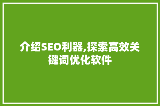 介绍SEO利器,探索高效关键词优化软件