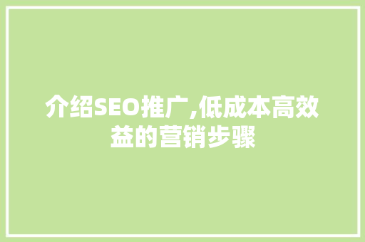 介绍SEO推广,低成本高效益的营销步骤