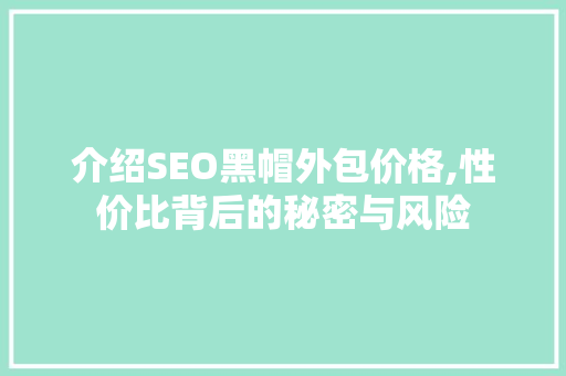 介绍SEO黑帽外包价格,性价比背后的秘密与风险