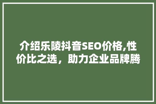 介绍乐陵抖音SEO价格,性价比之选，助力企业品牌腾飞