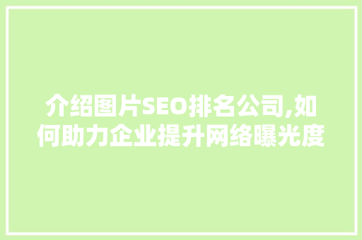 介绍图片SEO排名公司,如何助力企业提升网络曝光度