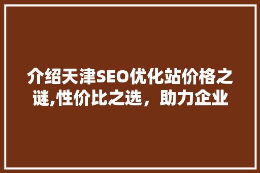 介绍天津SEO优化站价格之谜,性价比之选，助力企业腾飞