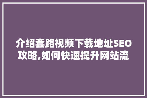 介绍套路视频下载地址SEO攻略,如何快速提升网站流量与转化率