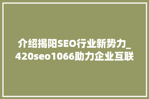 介绍揭阳SEO行业新势力_420seo1066助力企业互联网营销升级