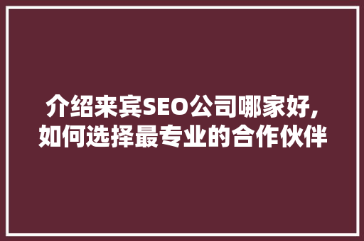 介绍来宾SEO公司哪家好,如何选择最专业的合作伙伴