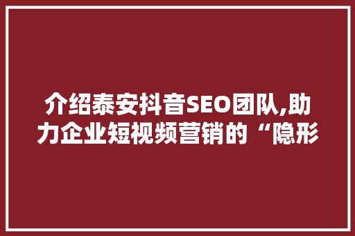 介绍泰安抖音SEO团队,助力企业短视频营销的“隐形推手”