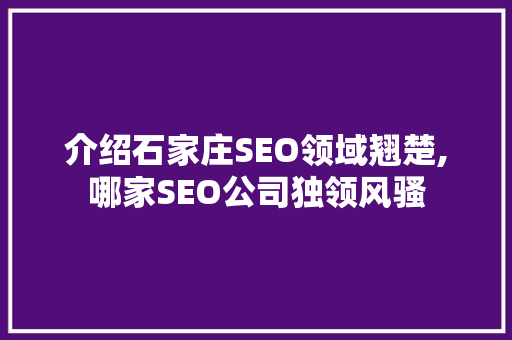 介绍石家庄SEO领域翘楚,哪家SEO公司独领风骚