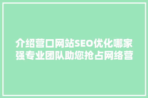介绍营口网站SEO优化哪家强专业团队助您抢占网络营销高地