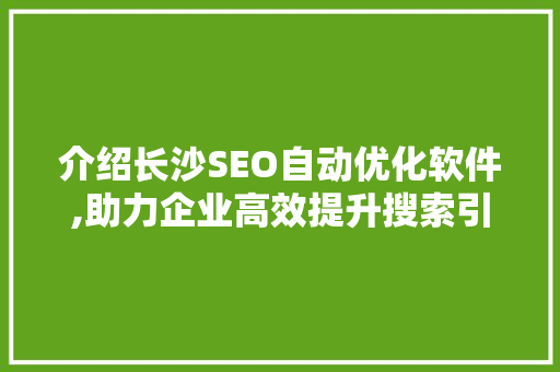 介绍长沙SEO自动优化软件,助力企业高效提升搜索引擎排名