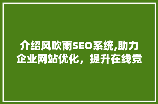 介绍风吹雨SEO系统,助力企业网站优化，提升在线竞争力