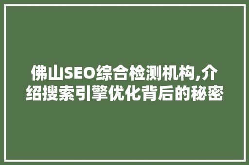 佛山SEO综合检测机构,介绍搜索引擎优化背后的秘密