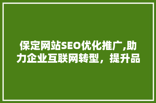 保定网站SEO优化推广,助力企业互联网转型，提升品牌影响力