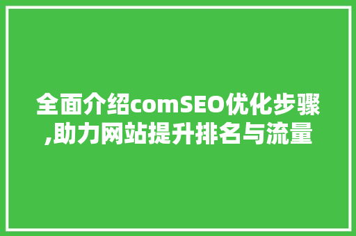 全面介绍comSEO优化步骤,助力网站提升排名与流量