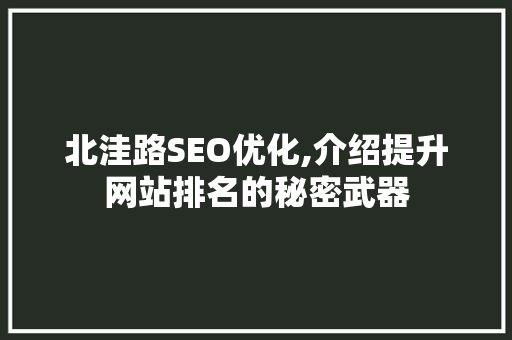 北洼路SEO优化,介绍提升网站排名的秘密武器
