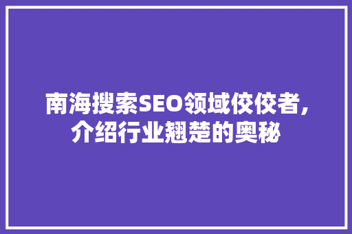 南海搜索SEO领域佼佼者,介绍行业翘楚的奥秘