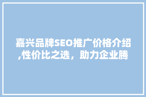 嘉兴品牌SEO推广价格介绍,性价比之选，助力企业腾飞