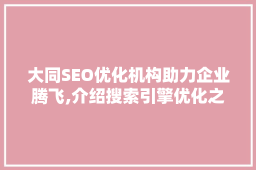 大同SEO优化机构助力企业腾飞,介绍搜索引擎优化之路