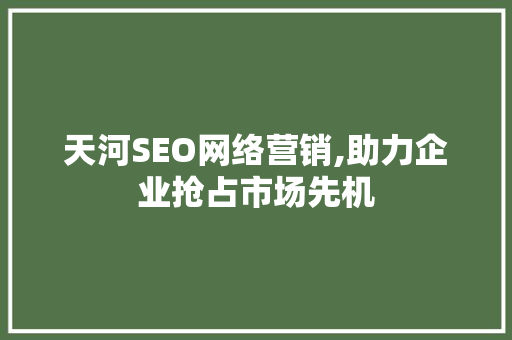 天河SEO网络营销,助力企业抢占市场先机