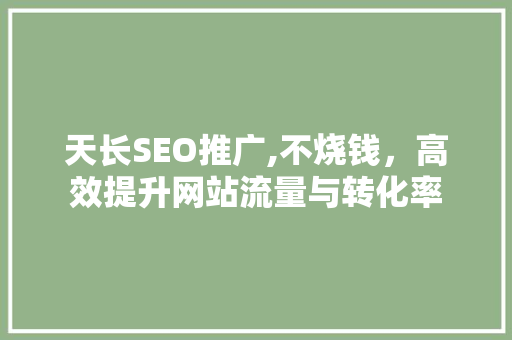天长SEO推广,不烧钱，高效提升网站流量与转化率