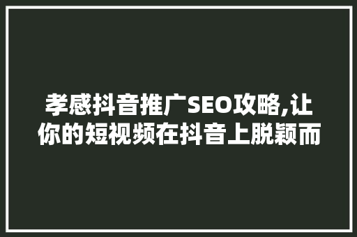 孝感抖音推广SEO攻略,让你的短视频在抖音上脱颖而出
