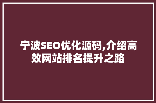 宁波SEO优化源码,介绍高效网站排名提升之路
