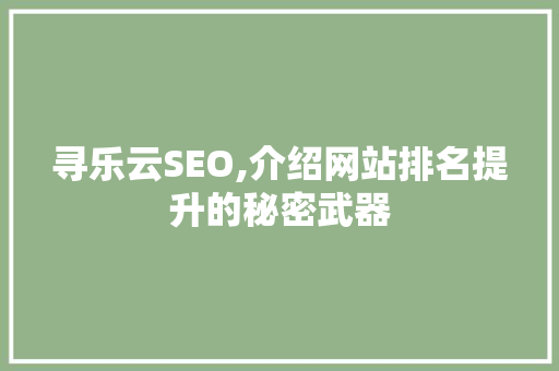 寻乐云SEO,介绍网站排名提升的秘密武器