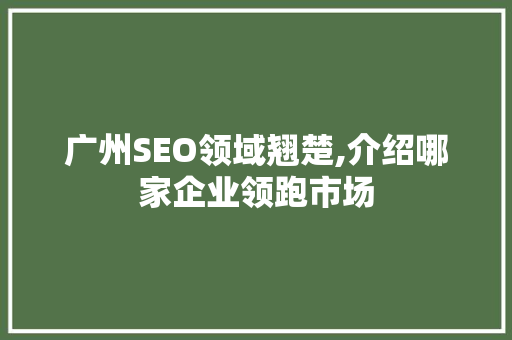 广州SEO领域翘楚,介绍哪家企业领跑市场