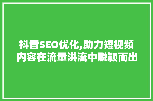 抖音SEO优化,助力短视频内容在流量洪流中脱颖而出