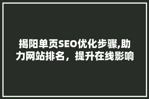 揭阳单页SEO优化步骤,助力网站排名，提升在线影响力