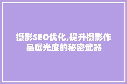 摄影SEO优化,提升摄影作品曝光度的秘密武器