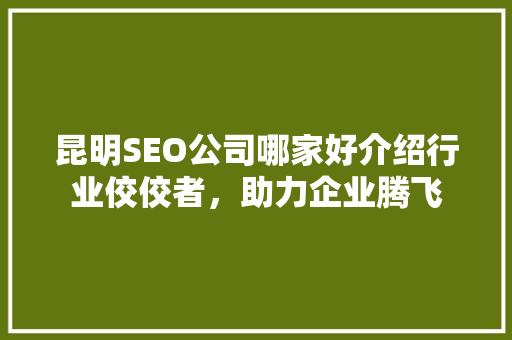 昆明SEO公司哪家好介绍行业佼佼者，助力企业腾飞