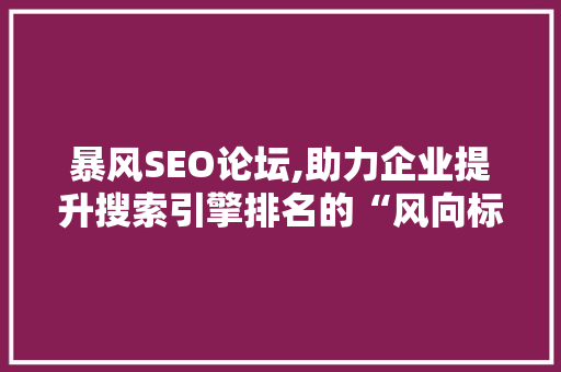 暴风SEO论坛,助力企业提升搜索引擎排名的“风向标”