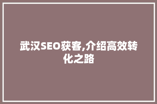 武汉SEO获客,介绍高效转化之路