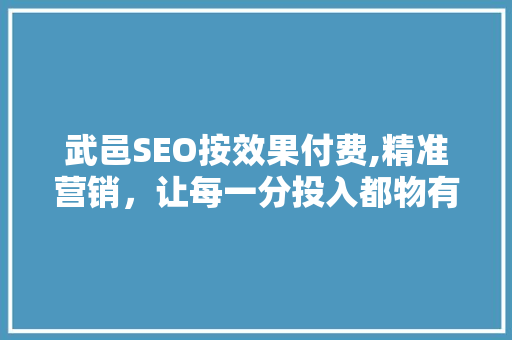 武邑SEO按效果付费,精准营销，让每一分投入都物有所值