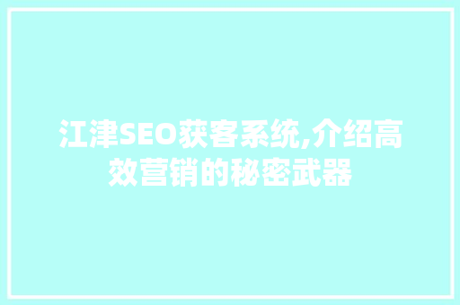 江津SEO获客系统,介绍高效营销的秘密武器
