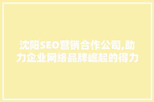 沈阳SEO营销合作公司,助力企业网络品牌崛起的得力助手