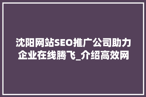 沈阳网站SEO推广公司助力企业在线腾飞_介绍高效网络营销之路