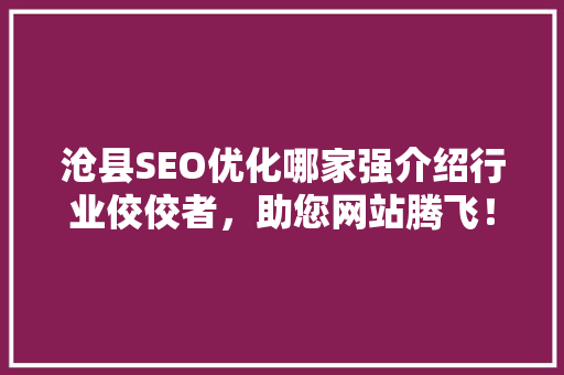 沧县SEO优化哪家强介绍行业佼佼者，助您网站腾飞！