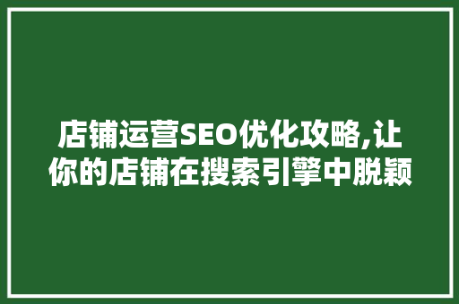 店铺运营SEO优化攻略,让你的店铺在搜索引擎中脱颖而出