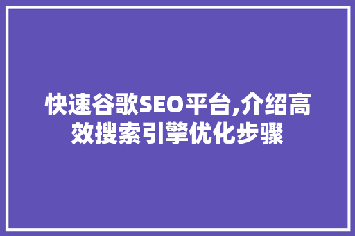 快速谷歌SEO平台,介绍高效搜索引擎优化步骤