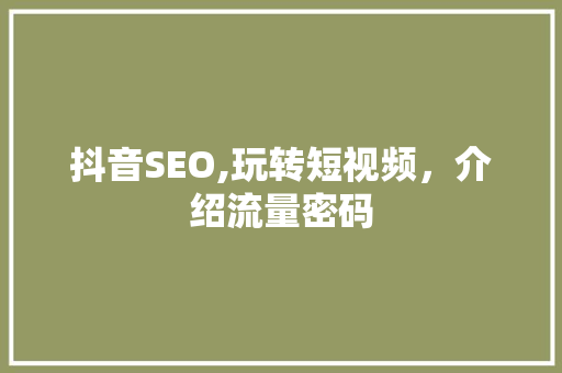 抖音SEO,玩转短视频，介绍流量密码