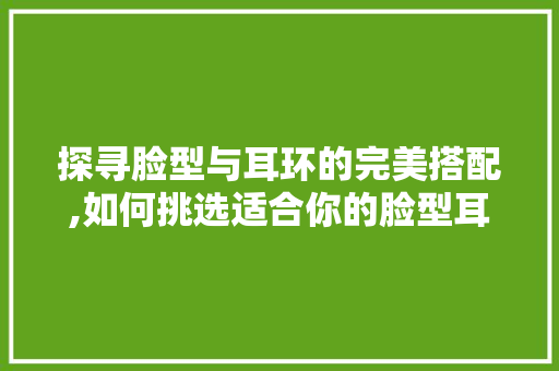 探寻脸型与耳环的完美搭配,如何挑选适合你的脸型耳环
